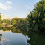 西南石油大学继续教育学院